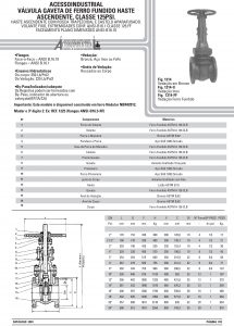 Válvula Gaveta De Ferro Fundido Haste Ascendente Classe 125psi 