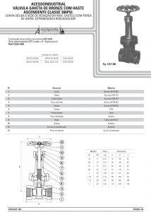 Válvula gaveta de bronze com haste Ascendente classe 300psi 