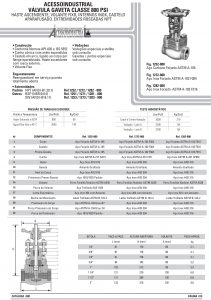 Válvula gaveta classe 800 psi