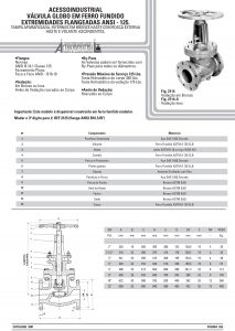Válvula globo em ferro fundido Extremidades flangeadas ansi - 125
