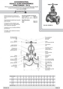 Válvula globo aerodinâmica Ferro fundido - pn 16
