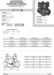 Válvula de retenção tipo portinhola classe 800psi