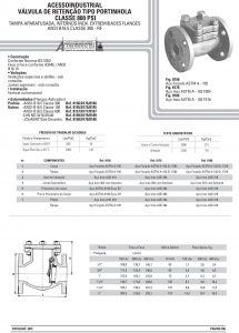 Válvula de retenção tipo portinhola Classe 800 psi