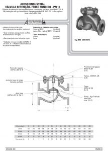 Válvula retenção- ferro fundido - pn 16