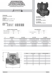 Válvula de retenção tipo pistão classe 800psi 