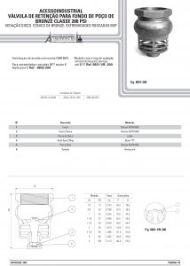 Válvula de retenção para fundo de poço de Bronze classe 200 psi