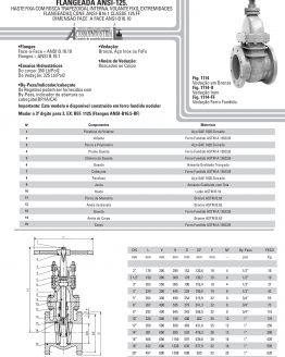 Válvula Gaveta de Ferro Fundido Haste Fixa, Flangeada ANSI-125