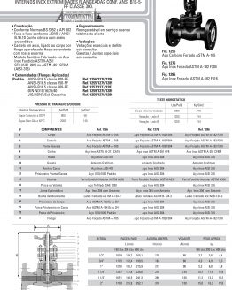 Válvula gaveta flangeada 800 psi