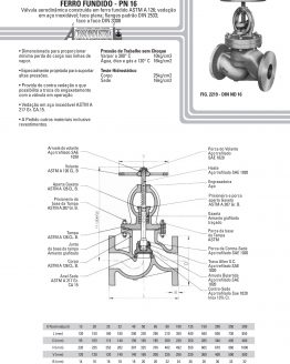 Válvula globo aerodinâmica Ferro fundido - pn 16