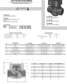 Válvula de retenção tipo pistão classe 800psi